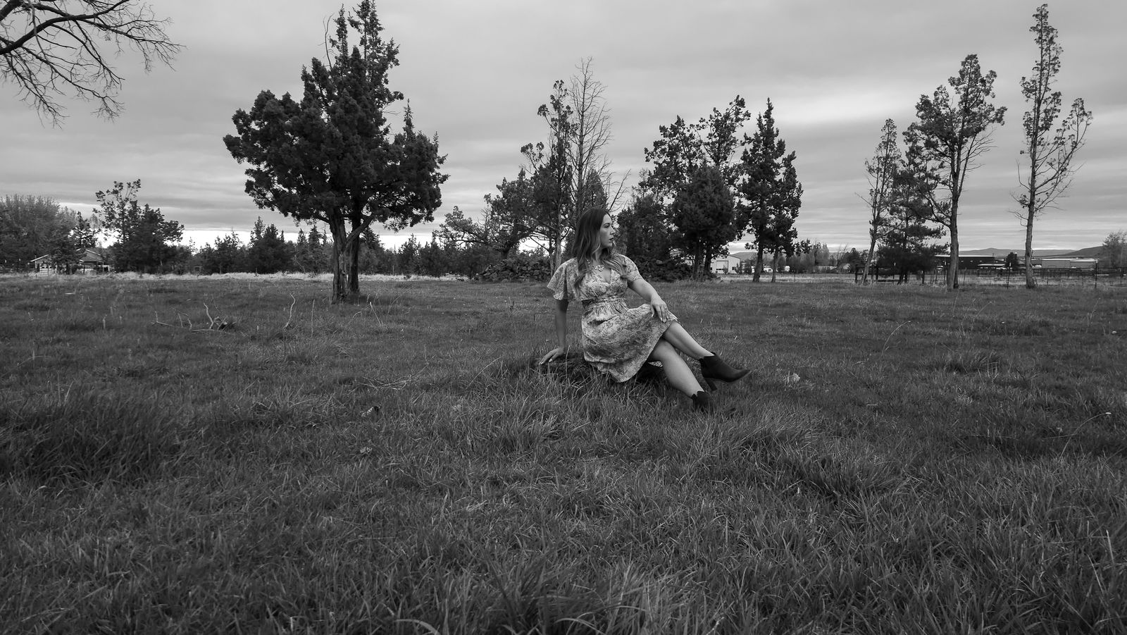 Black and white photo of Aliki sitting in an open field of junipers