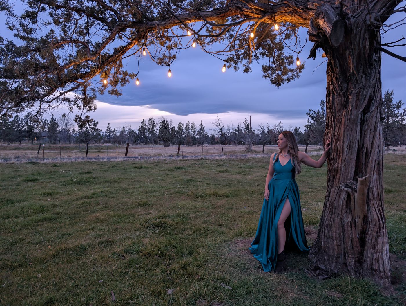 Aliki in a teal gown under a juniper strung with lights at dusk